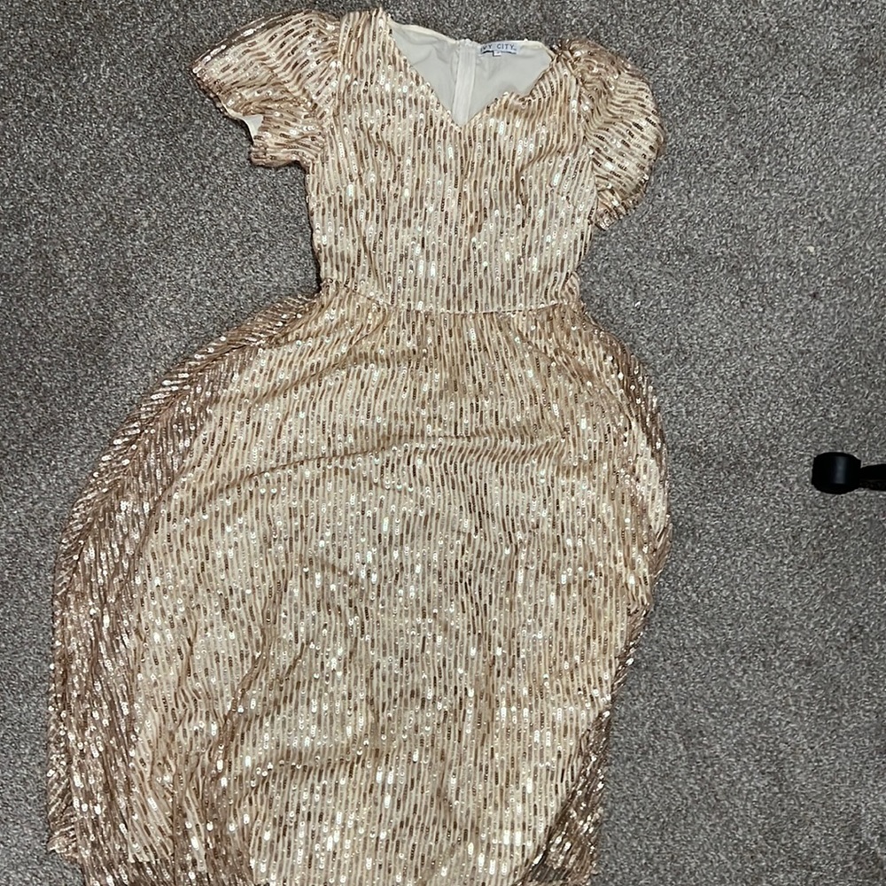 Ivy City Co Goldie dress